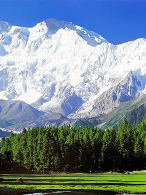 Kashmir Tour