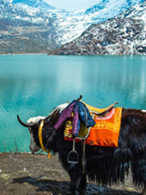 Sikkim Tour