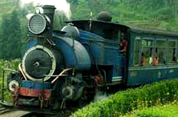 Visit Toy Train in Darjeeling 