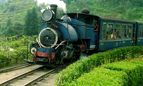 Toy Train in Darjeeling